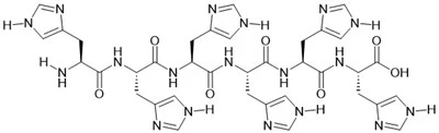 6×Njegov peptid